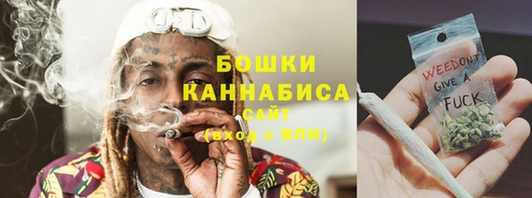 индика Лихославль