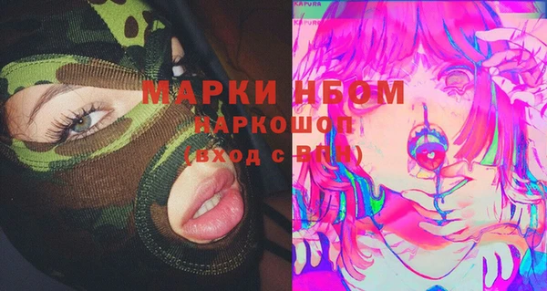 индика Лихославль