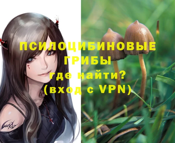 спайс Липки