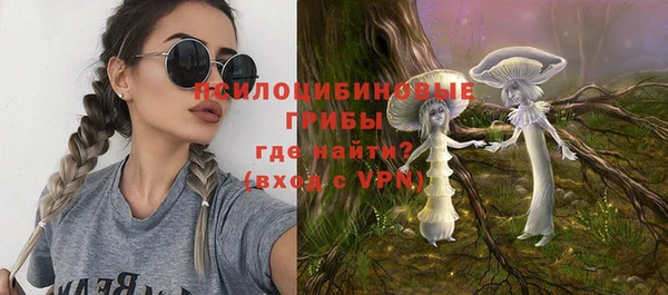 индика Лихославль