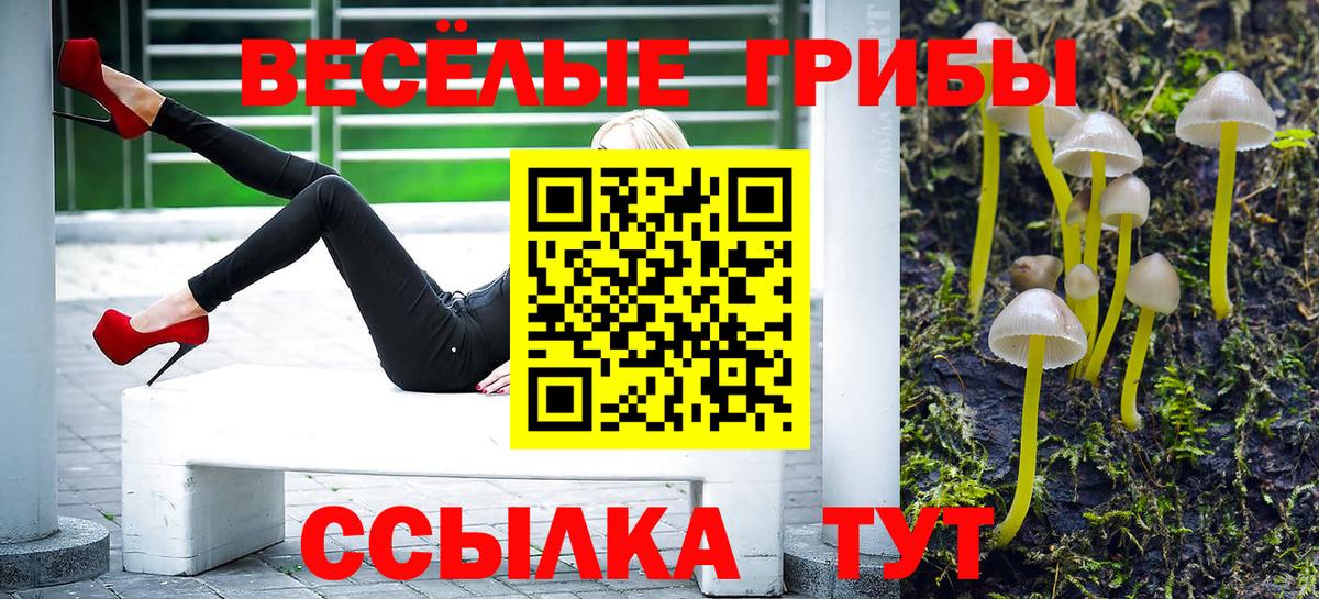 Галлюциногенные грибы MAGIC MUSHROOMS  Галлюциногенные грибы Magic Shrooms  Лениногорск  Вход с VPN 